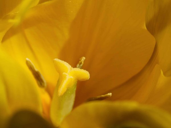 Comment voyager en vivant une expérience immersive au sein de communautés autochtones ?