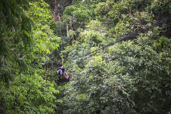 Découvrez le frisson d'un stage de pilotage